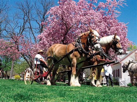 Landis Valley Village & Farm Museum | Discover Lancaster