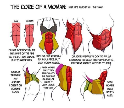 Resultado de imagen para female abs tutorial Human Anatomy Drawing, Female Drawing, Anatomy ...