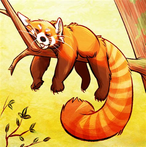 red panda by unbadger on DeviantArt