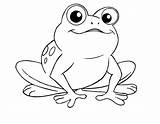 Cute Frog Coloring Sheets  101 Activity sketch template