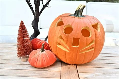 Cat Pumpkin Carving with and without Templates