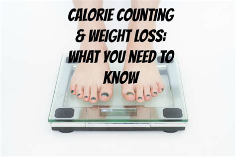 Calorie Counting and Weight Loss: What You Need to Know - All In A Days WorkAll In A Days Work