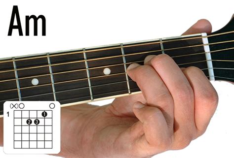 The first real chords - GuitarPlayerBox