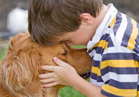 The importance of therapy animals — and pets in general — to healing and connection - Georgetown ...