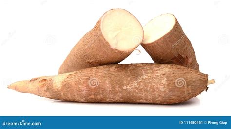 Cassava tubers stock image. Image of matter, skin, intestine - 111680451