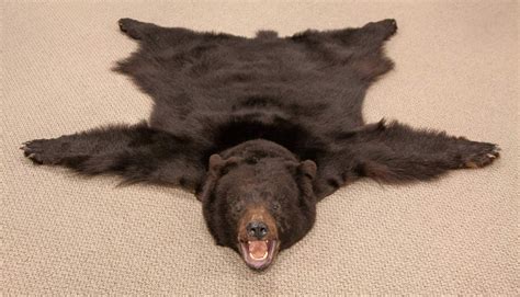 Vintage Black Bear Rug | Cottone Auctions