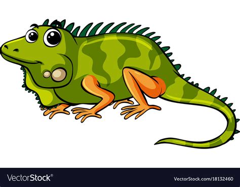 Green iguana on white background Royalty Free Vector Image