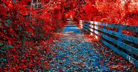 Red Autumn Wallpapers - Wallpaper Cave