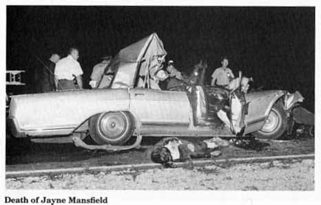 Car Crash: Jayne Mansfield Car Crash Dog