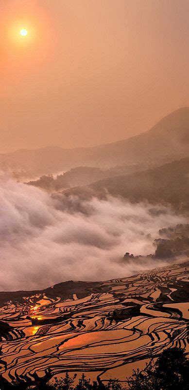 Sunrise over rice terrace, Yuanyang, China | Nature, Beautiful nature ...