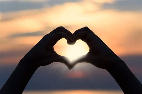 Love, Hands, Romance, Heart, Sunlight HD wallpaper | Pxfuel