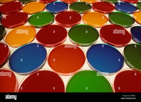 science lab petri dishes Stock Photo - Alamy