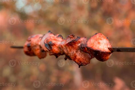 Shish kebab on skewers on blurred nature background 2466637 Stock Photo ...