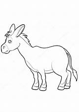 Coloring Pages  Printable Donkey Page sketch template
