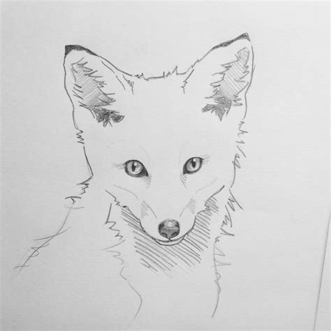 Baby fox sketch. Will look more distinctive with colour. www.scribblyroo.co.uk | Wolf spirit ...