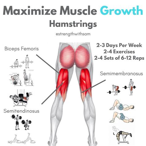 Pin by Strength With Sam on Optimal Workouts | Hamstring workout, Glutes workout, Gym workout tips