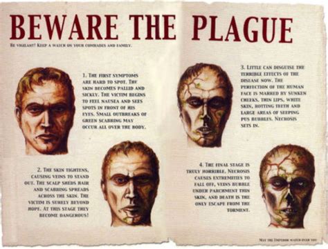 All you need to know about the bubonic plague | Newstalk