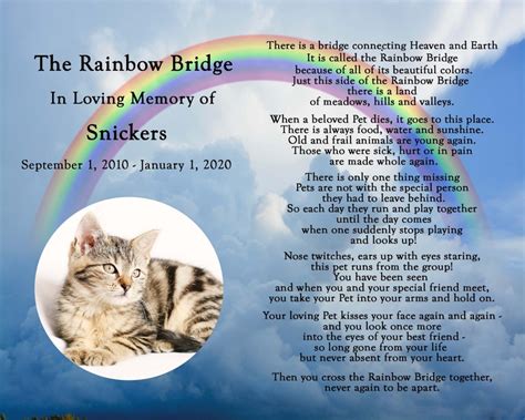 Personalized Rainbow Bridge Pet Loss Pet Memorial Poem Dog Cat 8x10 Print With PHOTO - Etsy