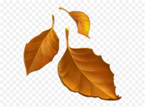 Fall Leaves Emoji Transparent - Fall Leaves Emoji Png,Leaf Emoji Png - free transparent png ...