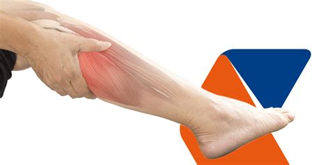 Solve the Biggest Problem of Leg Muscle Pain - Blog on healthcare | Companio