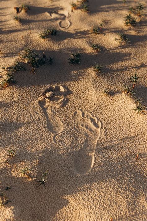 Footprints on a Beach · Free Stock Photo