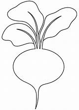 Beetroot coloring Page  ColouringPages sketch template