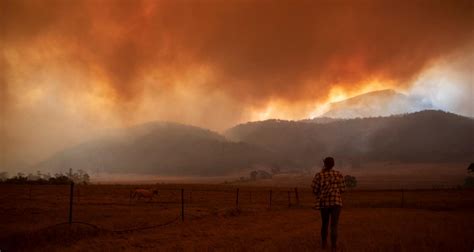 The 2021 Montana Forest Fires: What You Need to Know