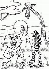 desenhos Para colorir Madagascar  Cartoon coloring Pages Coloring sketch template