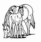 Free Printable Horse Coloring Pages For Kids sketch template