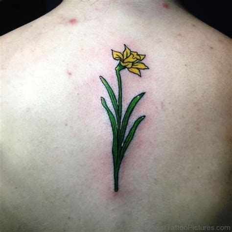 Daffodil tattoo, Yellow daffodils, Maple leaf tattoo