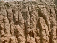 Alfisol | Organic Matter, Clay & Nutrients | Britannica