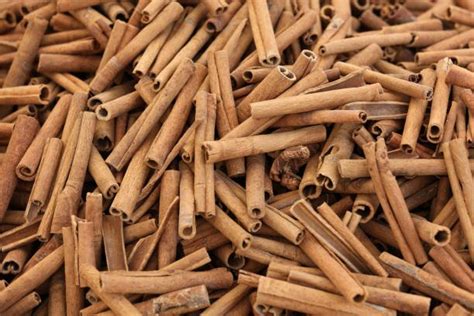 Cinnamon harvesting process - Terrassin Foodstuffs Trading LLC