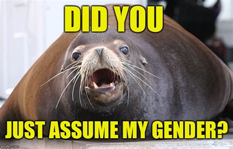 Image tagged in did you just assume my gender,she-lion,he-lion,sea-lion - Imgflip