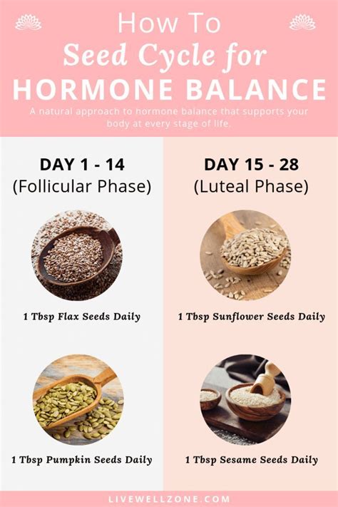 Seed Cycling for Hormone Balance: What Is It and How To Do It in 2020 ...