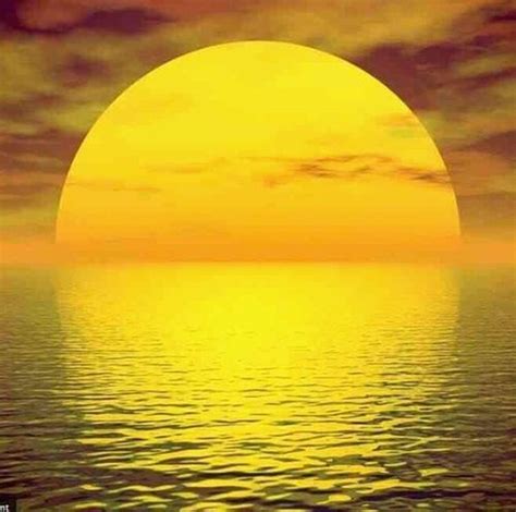 Bright Yellow Sunrise | Beautiful sunset, The magic faraway tree, Sunset