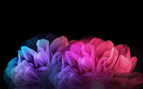 Wallpapers Dark Flower - Wallpaper Cave