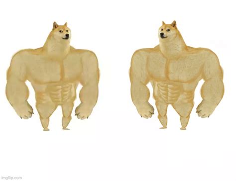 Swole Doge vs. Swole Doge Blank Template - Imgflip