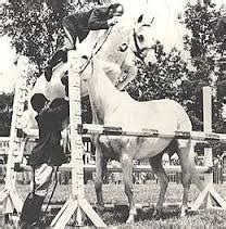 The Eighty-Dollar Champion: Snowman, The Horse That Inspired a Nation; book review and video ...