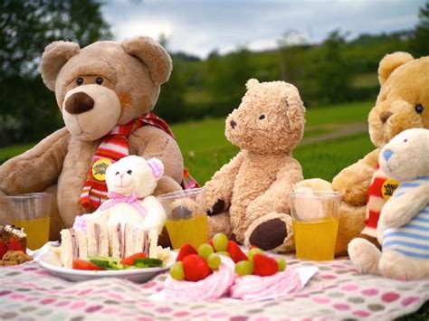 Teddy Bear Picnic Day : Bear Yogi Quotes Famous Average Smarter Than ...