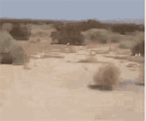 Desert Tumble Weed GIF - Desert Tumble Weed Roll - Descubre & Comparte GIFs