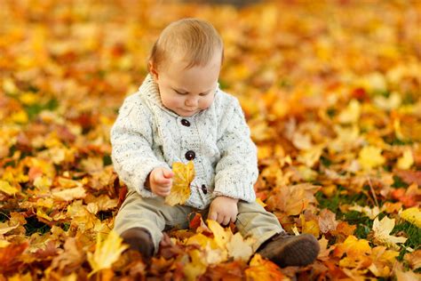 Free Images : outdoor, person, people, play, leaf, fall, flower, kid, cute, young, spring ...
