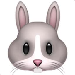 Rabbit Face Emoji (U+1F430)