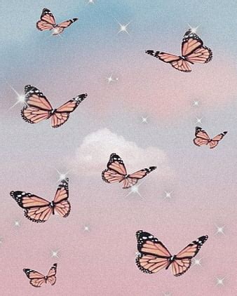 Cute Butterfly Wallpaper