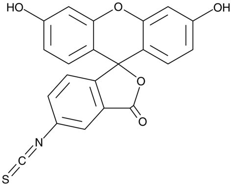 Fluorescein 5-isothiocyanate | CAS 3326-32-7 | Cayman Chemical | Biomol.com