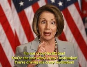 Nancy Pelosi Stupid Quotes. QuotesGram