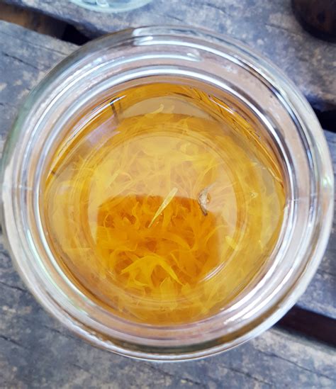 Calendula Tincture: How to Make Your Own - Sugar & Pith