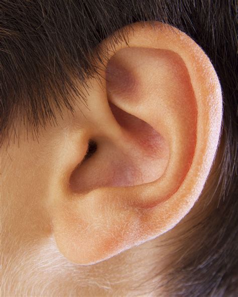 What? Hearing Aids Are Out of Range for Most Americans (Op-Ed ...