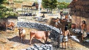 Image result for Stone Age Farming | europe | How to make cheese, Prehistory, Prehistoric period