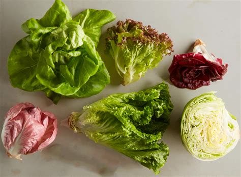 Is Bitter Lettuce Safe to Eat? Easy Tips for Enjoying Bitter Lettuce