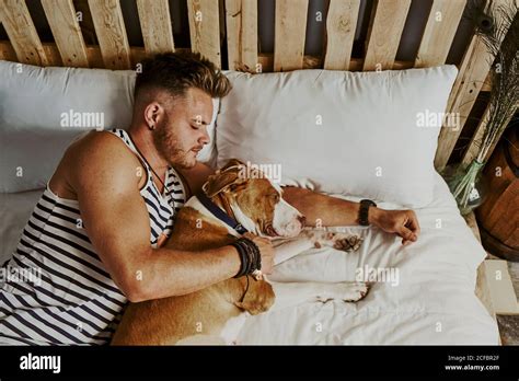 A young blond boy sleeping next to his dog in the bed. Lifestyle ...